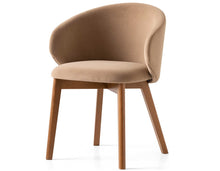 Tuka  2117 armchair dining chair / walnut frame