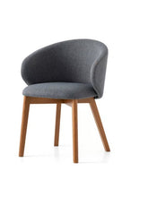Tuka  2117 armchair dining chair / walnut frame